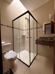 a bathroom with a shower with a toilet and a sink at Hotel Vitoria Marchi in Serra Negra