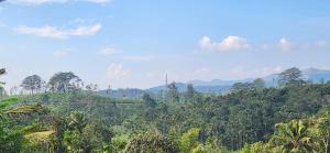 Billede fra billedgalleriet på Karmalhills Homestay i Trivandrum