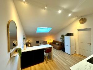 a kitchen and living room with a sink and a refrigerator at Charmant deux pièces en plein centre-ville de NARBONNE in Narbonne