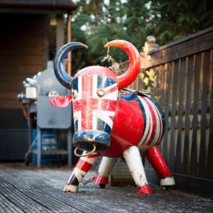 Zvířata v prázdninového domu nebo okolí