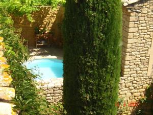 una piccola piscina in un giardino accanto a un albero di Au Fil Des 5 Saisons a Vers-Pont-du-Gard