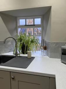 a kitchen with a sink and a plant on a counter at 1 Gilmore Close in Alston +2 photos