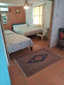 ein Zimmer mit zwei Betten und einem Teppich in der Unterkunft Hostal ROLLED in Villavieja + 14 Fotos