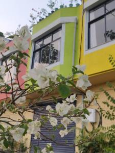 Κήπος έξω από το SAKSHI Homestay +5 φωτογραφίες