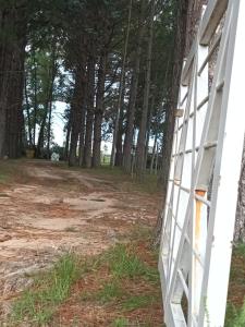 a view from the side of a white house with trees at complejo cumelen in Gualeguaychú