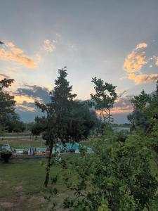 a tree in a field with a sunset in the background at complejo cumelen in Gualeguaychú