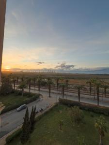 a view of a street with palm trees and a road at artisanat in Mohammedia