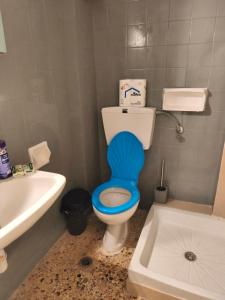 a bathroom with a toilet with a blue seat at Central Michaniona AP in Nea Michaniona +5 photos