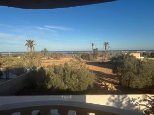 Naturlandskabet i nærheden af lejligheden