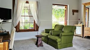 蒙塔古Montagu Vines Guesthouse的客厅里有一张绿色的沙发和一台电视