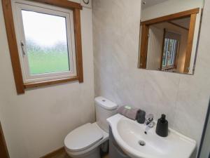a bathroom with a toilet and a sink and a mirror at Oak Lodge in Rugeley +21 photos