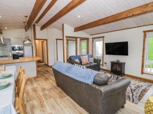a living room with a couch and a stove at Willow Lodge in Rugeley