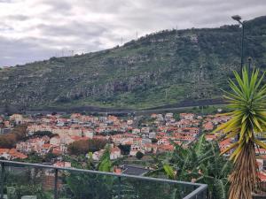 a view of a city with a mountain at Apto Vista Baía Machico in Machico
