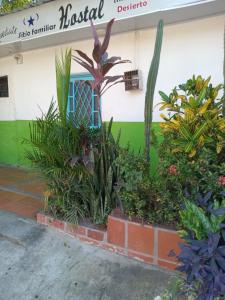 Hostal ROLLED في فيلافيجا: مبنى به مجموعة من النباتات أمامه
