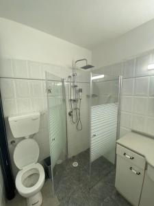a bathroom with a shower and a toilet and a sink at יחידת אירוח רחוב נחשון in Kibbutz Nachshon