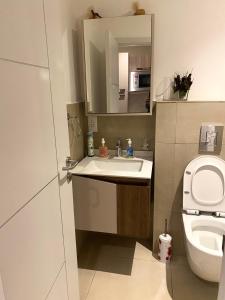 une salle de bains avec lavabo, toilettes et miroir dans l'établissement Belrose Place Studio Apartment, à Accra