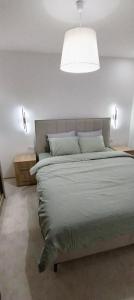 1 dormitorio con 1 cama grande y luz grande en Masa, en Arandjelovac