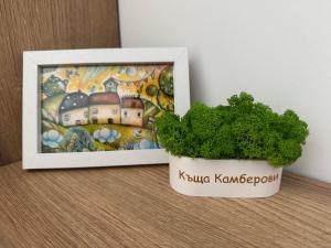 a plant in a white pot next to a picture at Къща Камберови град Калофер in Kalofer