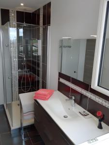 ein Badezimmer mit Waschbecken und Dusche in der Unterkunft Gîte Le Campet in Millau