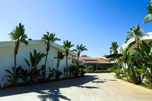 a villa with palm trees and a driveway at Capo Vaticano Suites in Capo Vaticano