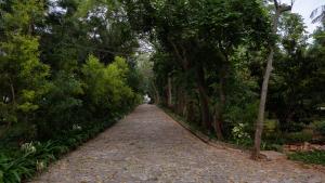 Imagine din galeria proprietății Trisara Boutique Stay în Mysore +28 fotografii