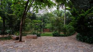 O grădină în afara Trisara Boutique Stay