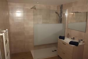 ein Badezimmer mit Dusche, Waschbecken und Spiegel in der Unterkunft Le Bouquet de Soizic in Grandjean + 20 Fotos