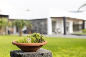 En have udenfor GuestReady - Charming Retreat with Garden