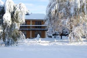 En pleine nature, près du centre om vinteren