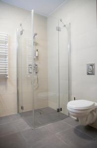ein Badezimmer mit Dusche und Toilette in der Unterkunft Santa Christina in Świeradów-Zdrój
