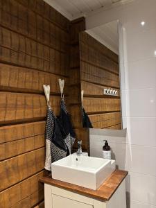 a bathroom with a white sink and a mirror at Villa Hirsipirtti in Rovaniemi +47 photos
