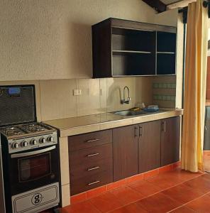 a kitchen with a stove and a sink at Green Park Urbarí in Santa Cruz de la Sierra