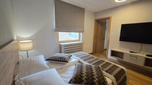 a living room with a couch and a flat screen tv at Apartman C437 Aparthotel Vucko Jahorina privatni apartman in Jahorina