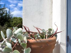 Фотография из галереи Casapueblo Rent Cachagua CP 32 в городе Cachagua