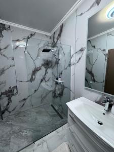 a bathroom with a shower and a sink at Studio apartman Luna in Vinkovci