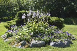 Photo de la galerie de l'établissement Mountain Vista Seaside Cottages, à Big Bras d'Or 11 autres photos
