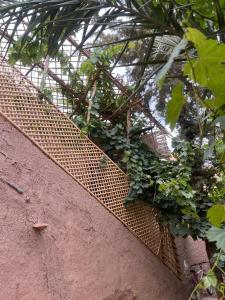 Fotografie z fotogalerie ubytování Las Palmas Magramane v destinaci Skoura + 6 fotografií