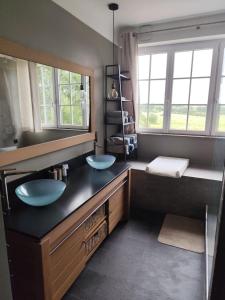 a bathroom with two sinks and a large mirror at Gite du bout là haut in Audincthum