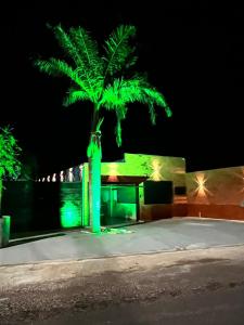 HOTEL & RANCHO Kk في Coxim: نخلة مع أضواء خضراء أمام المبنى