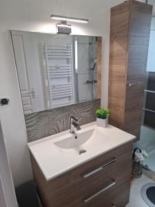 a bathroom with a sink and a mirror at Ker'mima in Antoigné Châtellerault in Châtellerault +25 photos