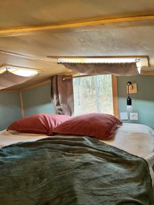 1 cama con 2 almohadas rojas en una habitación en Tiny House, en Saint-Laurent-de-Cerdans