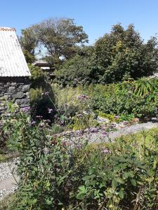 Φωτογραφία από το άλμπουμ του Loop Head Lodge Carrigaholt 4 bedroom self catering holiday home σε Carrigaholt