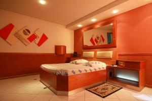 un dormitorio con una cama y un espejo en Hotel Flor do Ipiranga (Adult Only), en São Paulo