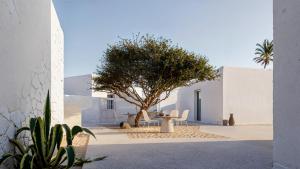 un cortile con un albero e edifici bianchi di ANOME Mykonos a Ornos