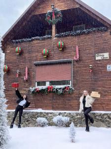 Cabana Oana 5-bedrooms chalet iarna