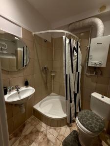 a bathroom with a tub and a sink and a toilet at Rynek Ratusz in Wrocław