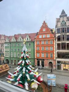 a christmas tree in the middle of a city at Rynek Ratusz in Wrocław
