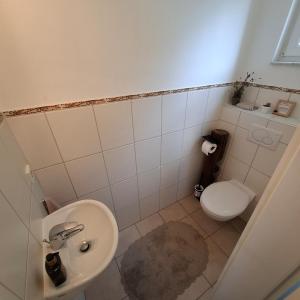 een kleine badkamer met toilet en wastafel bij Haus am Tor zur Eifel in Mechernich +14 foto's