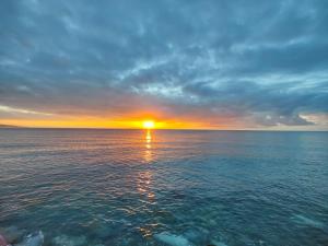 Природа в окрестностях апартаментов/квартиры