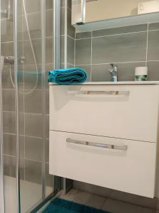 un bagno con un lavandino bianco e una doccia di Gîte L'écrin De Pierres a Les Vignes